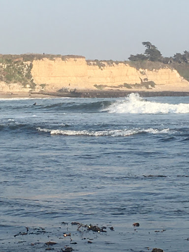 Public Beach «Four Mile Beach», reviews and photos, 3810 Coast Rd, Santa Cruz, CA 95060, USA