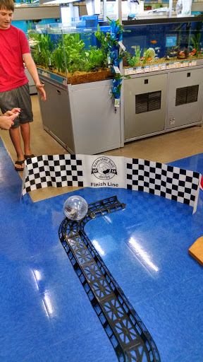 Pet Supply Store «Petco Animal Supplies», reviews and photos, 30697 US Hwy 19 N, Palm Harbor, FL 34684, USA