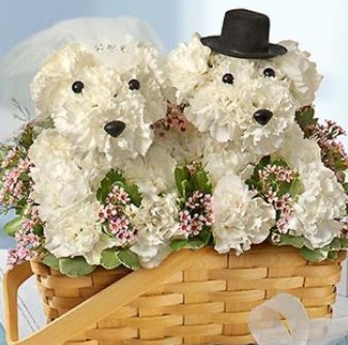 Florist «Rutherford Florist», reviews and photos, 67 Park Ave, Rutherford, NJ 07070, USA