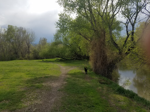 Mayor's Landing, 97 View Vista Dr, Livingston, MT 59047