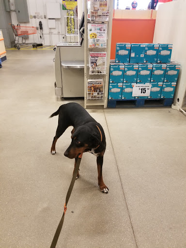 Home Improvement Store «The Home Depot», reviews and photos, 1255 Ten Rod Rd, North Kingstown, RI 02852, USA