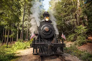 The Skunk Train & Rail Bikes image