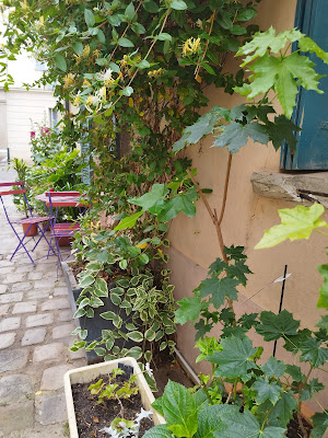 place saint-pierre à Saint-Germain-en-Laye