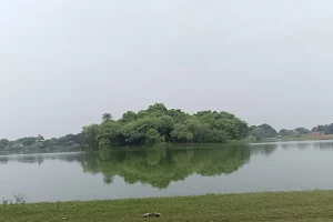 oyster pond image