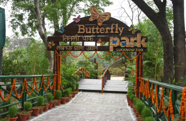 ButterflyPark