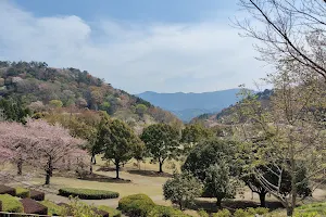 Kamiyama Shinrin Park image
