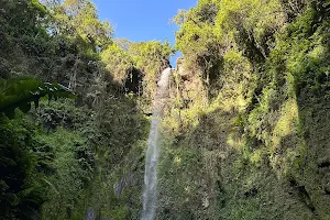 Napuru Waterfalls image