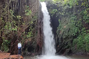 Apsarakonda Waterfalls image