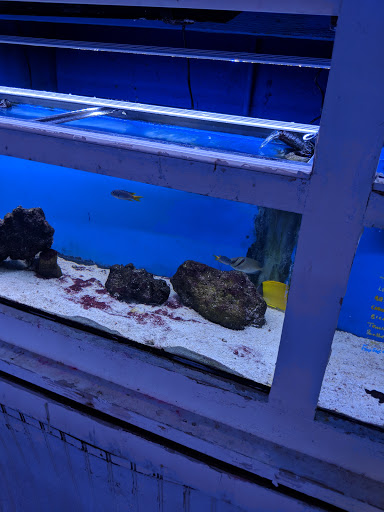 Pet Supply Store «Exotic Aquatic», reviews and photos, 275 E Oakland Park Blvd, Fort Lauderdale, FL 33334, USA