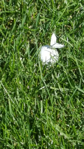 Golf Driving Range «Hickory Ridge Golf Course & Driving Range», reviews and photos, 65 N 30th St, Galesburg, MI 49053, USA