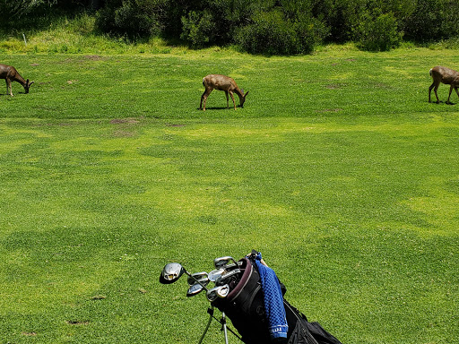 Golf Course «Roosevelt Golf Course», reviews and photos, 2650 N Vermont Ave, Los Angeles, CA 90027, USA