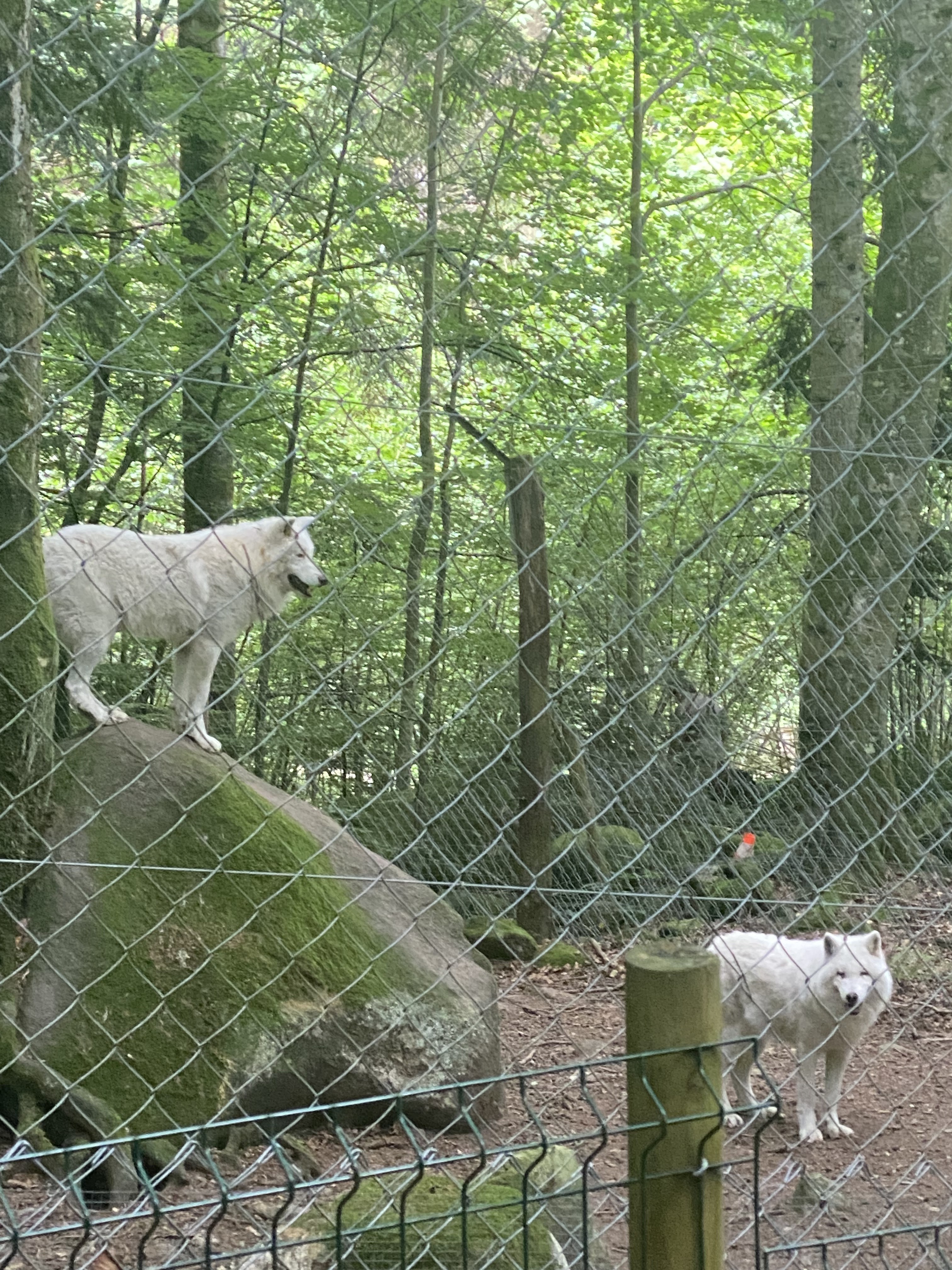 Photo n° 2 de l'avis de Morgane.i fait le 03/07/2021 à 15:29