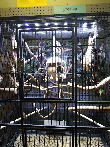 Pet Store «Incredible Pets Inc», reviews and photos, 2255 N Wickham Rd # 102, Melbourne, FL 32935, USA