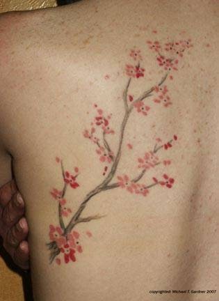 Tattoo Shop «Tattoo Garden», reviews and photos, 5205 S 2nd Ave, Everett, WA 98203, USA