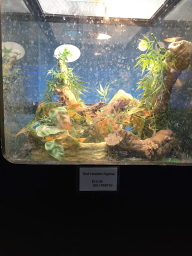Pet Store «Inland Reef Pet Store», reviews and photos, 817 Cross Lanes Dr, Cross Lanes, WV 25313, USA