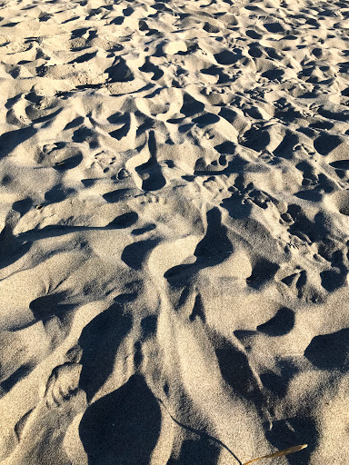 Park «Good Harbor Beach», reviews and photos, 99 Thatcher Rd, Gloucester, MA 01930, USA