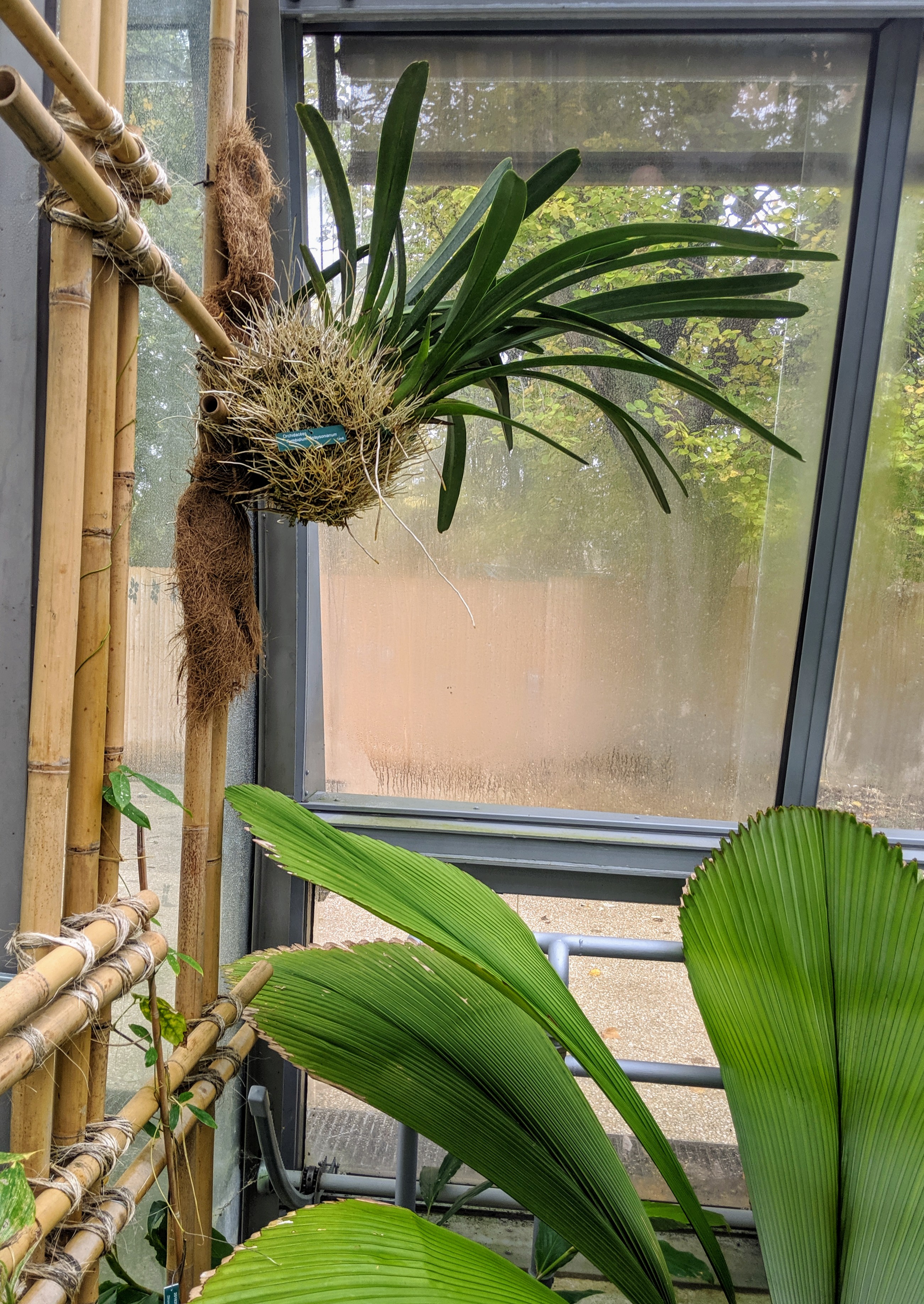 Photo n° 1 de l'avis de Eric.e fait le 10/11/2019 à 13:43