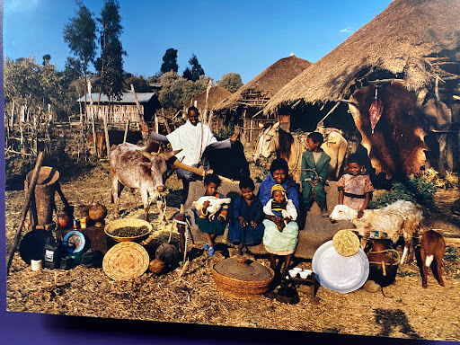 Museum «Polk Museum Of Art», reviews and photos, 800 E Palmetto St, Lakeland, FL 33801, USA