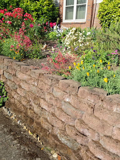 Park «Alberta Park», reviews and photos, 1905 NE Killingsworth St, Portland, OR 97211, USA