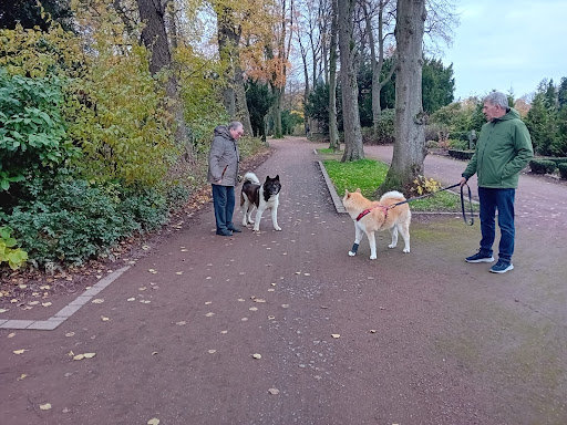 Dr. med. vet. Stephan Egen unter Kevelaer, Nordrhein-Westfalen