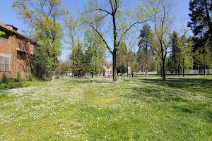 Parco dei Pini image