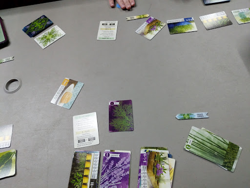 Comic Book Store «Emerald City Comics Games Toys», reviews and photos, 4902 113th Ave N, Clearwater, FL 33760, USA