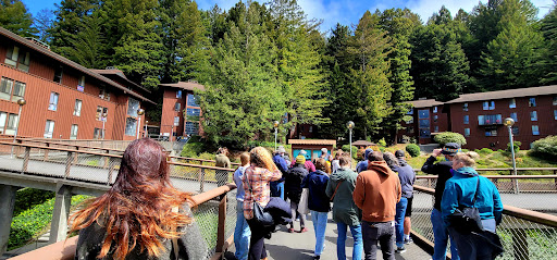 Book Store «Humboldt State University Bookstore», reviews and photos, 1 E Laurel Dr, Arcata, CA 95521, USA