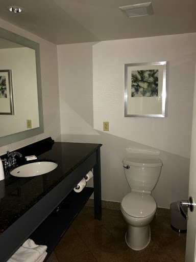 Hotel «Delta Hotels by Marriott Chesapeake», reviews and photos