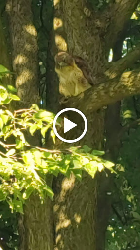 Golf Course «Birmingham Country Club», reviews and photos, 1750 Saxon Dr, Birmingham, MI 48009, USA