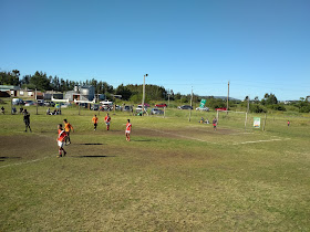 Campo de fútbol