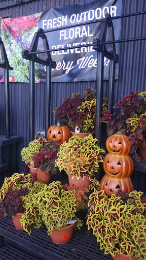 Grocery Store «Kroger», reviews and photos, 227 Sandy Springs Pl NE, Sandy Springs, GA 30328, USA