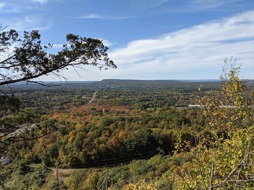 Cockaponset State Forest