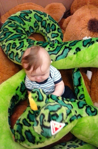 Discount Store «Big Lots», reviews and photos, 2211 W Main St, Norman, OK 73069, USA