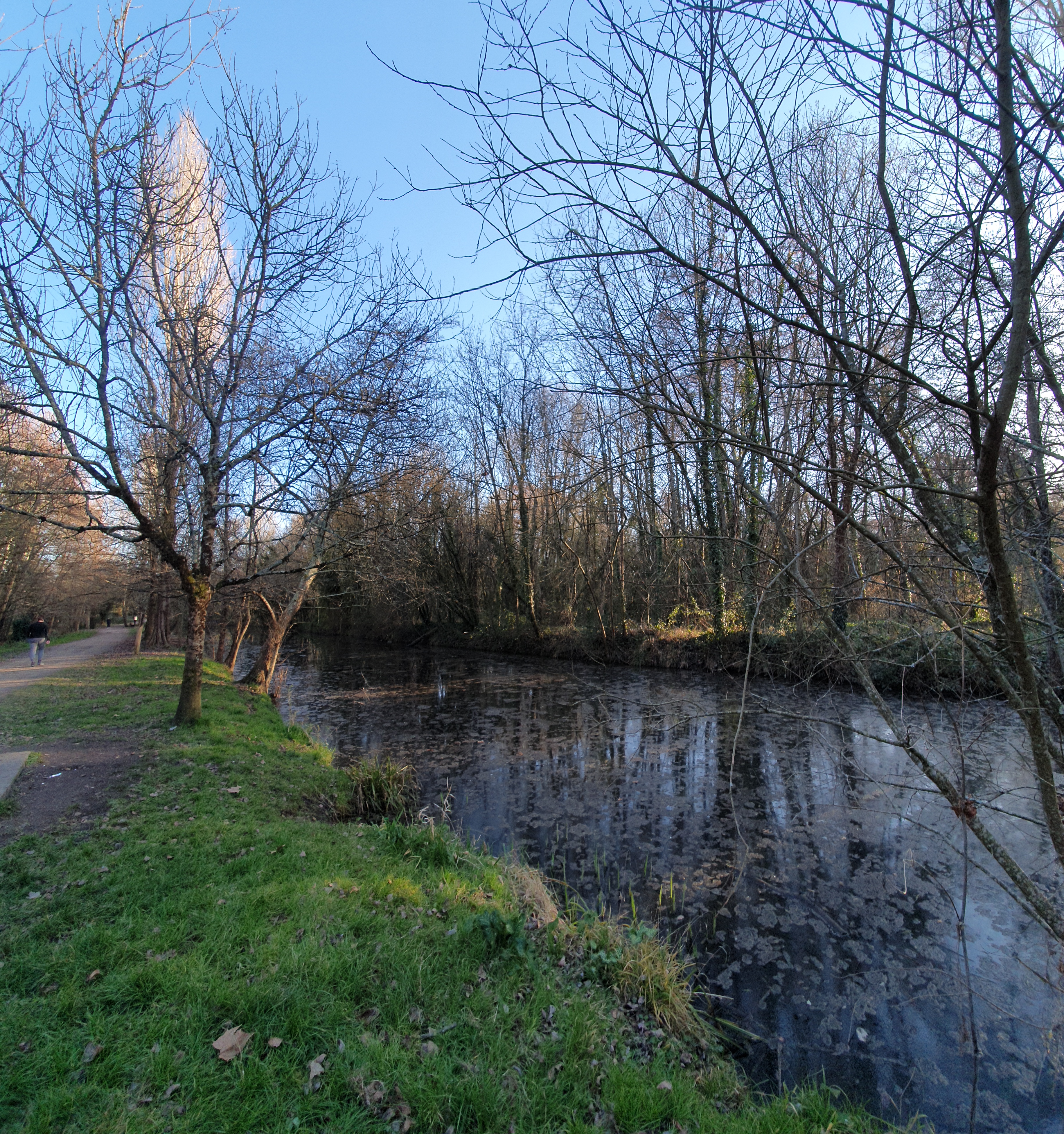Photo n° 13 de l'avis de Sindelore. fait le 16/01/2021 à 16:35