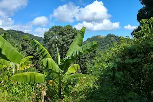Réserve Forestière de Majimbini image
