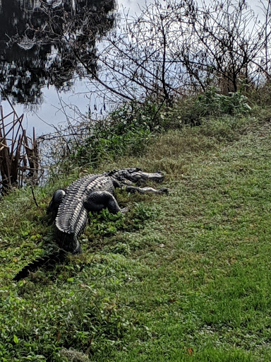 Golf Course «Willowbrook Golf Course», reviews and photos, 4200 FL-544, Winter Haven, FL 33881, USA