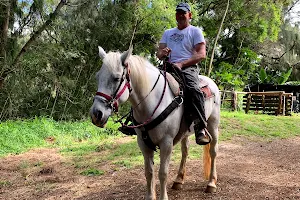Ironwood Ranch Horseback Riding image