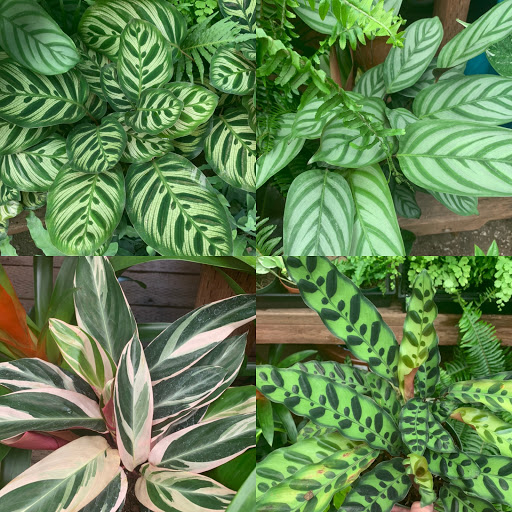 Garden Center «Ladera Garden & Gifts», reviews and photos, 3130 Alpine Rd #380, Portola Valley, CA 94028, USA