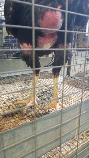 Animal Feed Store «Farmers Feed & Pet Supply», reviews and photos, 1302 E Miner Ave, Stockton, CA 95205, USA