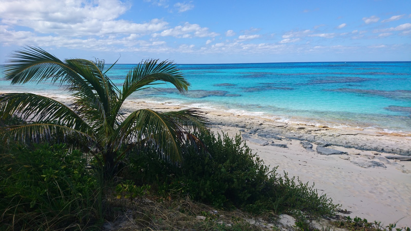 Foto van Double Bay beach II met turquoise puur water oppervlakte