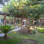 Photo n°2 de l'avis de Daniele.o fait le 09/08/2021 à 10:17 sur le  Ristorante Pizzeria S'Abba Druche à Bosa