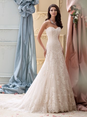 Bridal Shop «Divas Closet Bridal Boutique», reviews and photos, 1034 Merriam Ln, Kansas City, KS 66103, USA