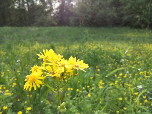 Tourist Attraction «Fontanel», reviews and photos, 4125 Whites Creek Pike, Whites Creek, TN 37189, USA