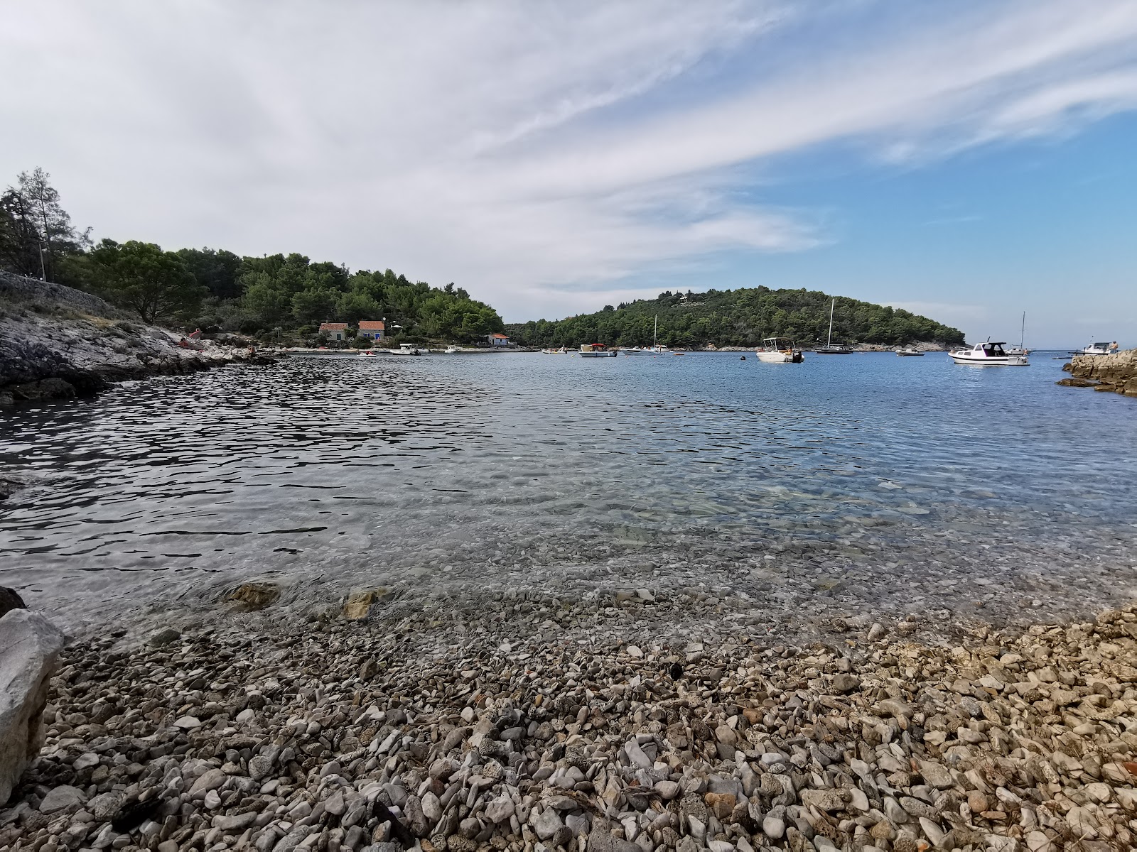 Valdarke Dog Beach'in fotoğrafı vahşi alan