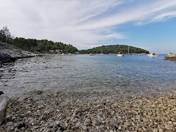 Valdarke Dog Beach'in fotoğrafı vahşi alan