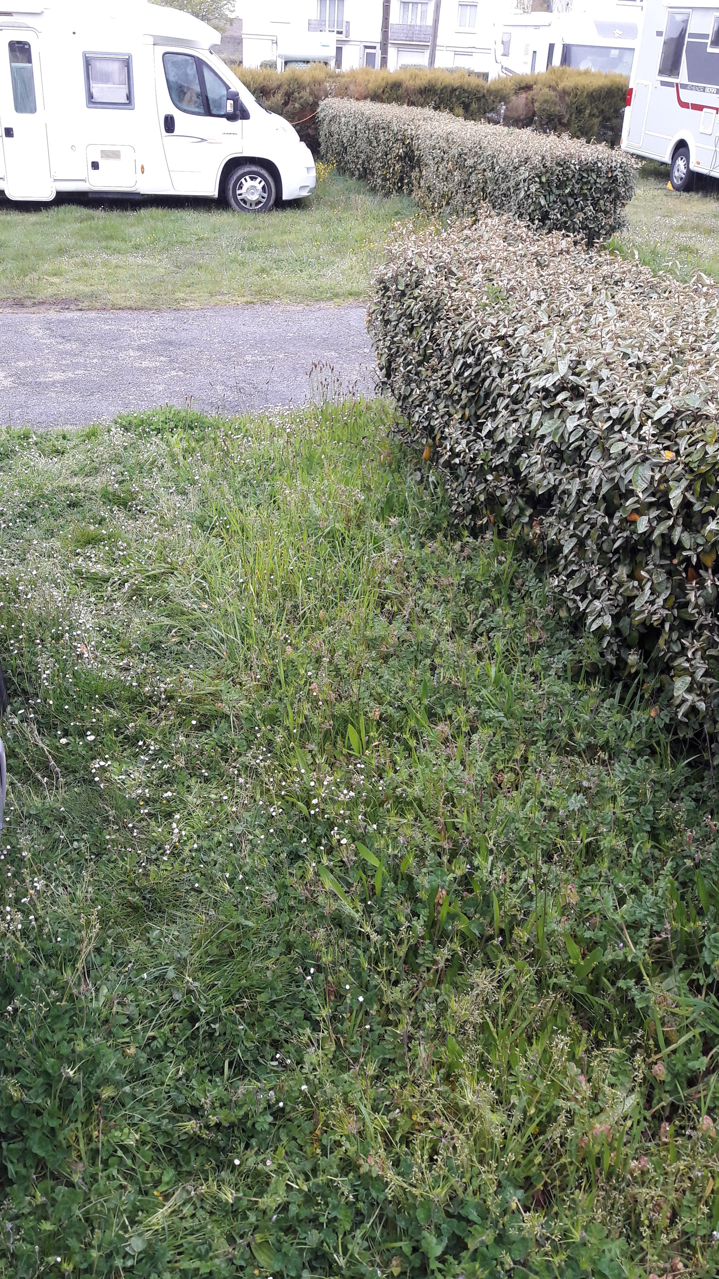 Photo n° 1 de l'avis de André.e fait le 14/04/2019 à 16:53