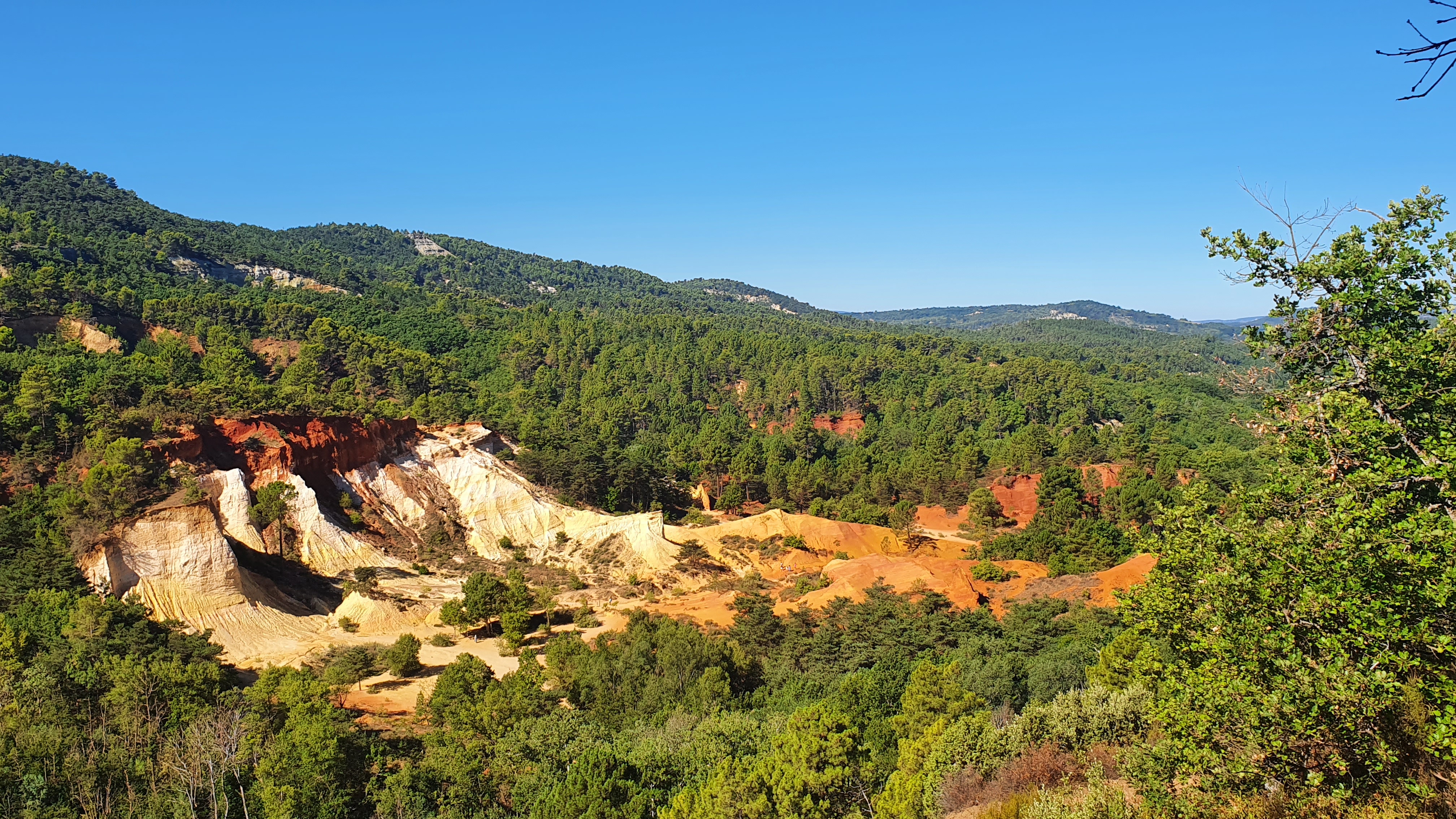Photo n° 1 de l'avis de gaudinat.e fait le 20/08/2022 à 11:27
