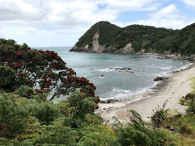Reviews of Bream Head Coast Walks in Whangarei Heads - Other