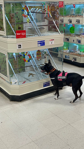 Pet Supply Store «PetSmart», reviews and photos, 111 Nassau Park Blvd, Princeton, NJ 08540, USA
