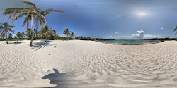 Foto von Akumal bay beach hotelbereich